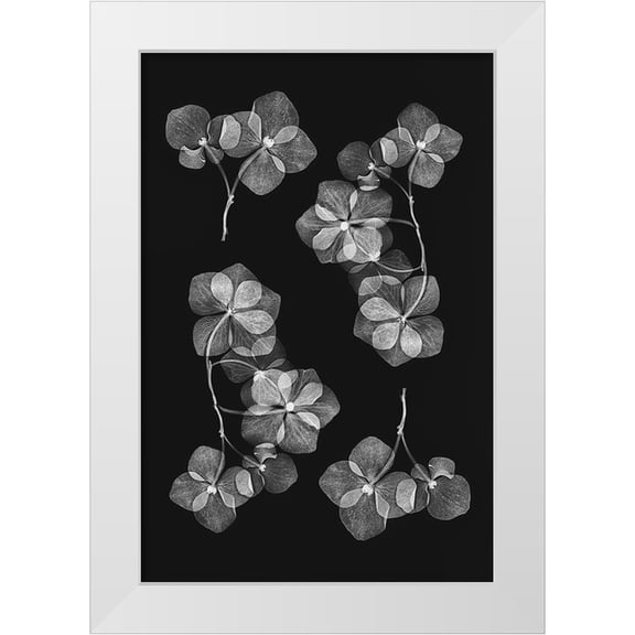 Lenka 11x14 White Modern Wood Framed Museum Art Print Titled - Botanical 46