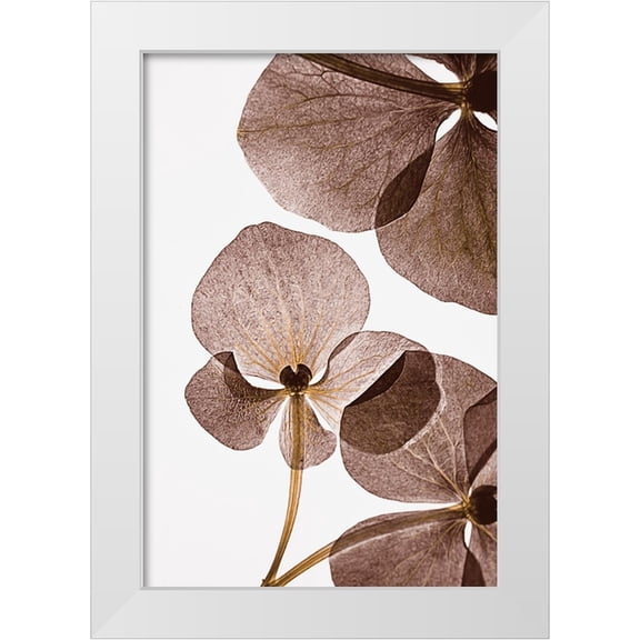 Lenka 11x14 White Modern Wood Framed Museum Art Print Titled - Botanical 5