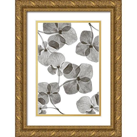 Lenka 13x18 Gold Ornate Wood Framed with Double Matting Museum Art Print Titled - Botanical 39