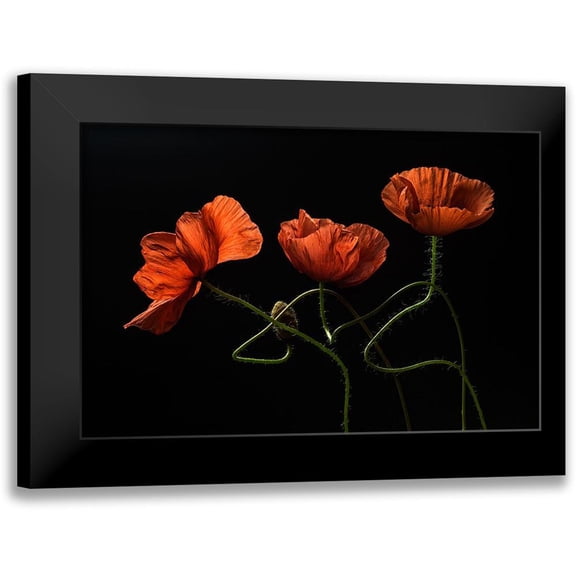 Lenka 14x11 Black Modern Framed Museum Art Print Titled - Around Midnight #2