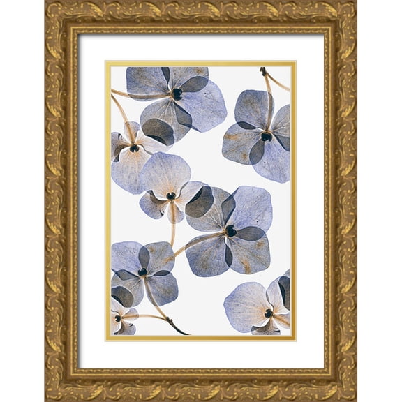 Lenka 17x24 Gold Ornate Wood Framed with Double Matting Museum Art Print Titled - Botanical #37