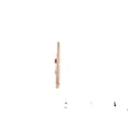 thumbnail image 1 of Lennox 98M85 Electrode Assembly Ignitor, 1 of 1