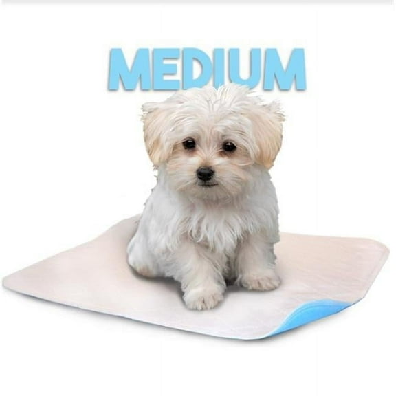 Lennypads 1824LP 18 x 24 in. Medium Washable Pet Pad - White