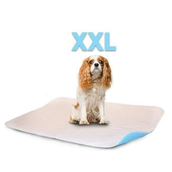 Lennypads 3636LP 36 x 36 in. 2XL Washable Pet Pad - White