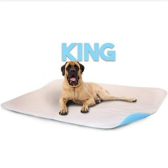 Lennypads 4872LP 48 x 72 in. King Size Washable Pet Pad - White