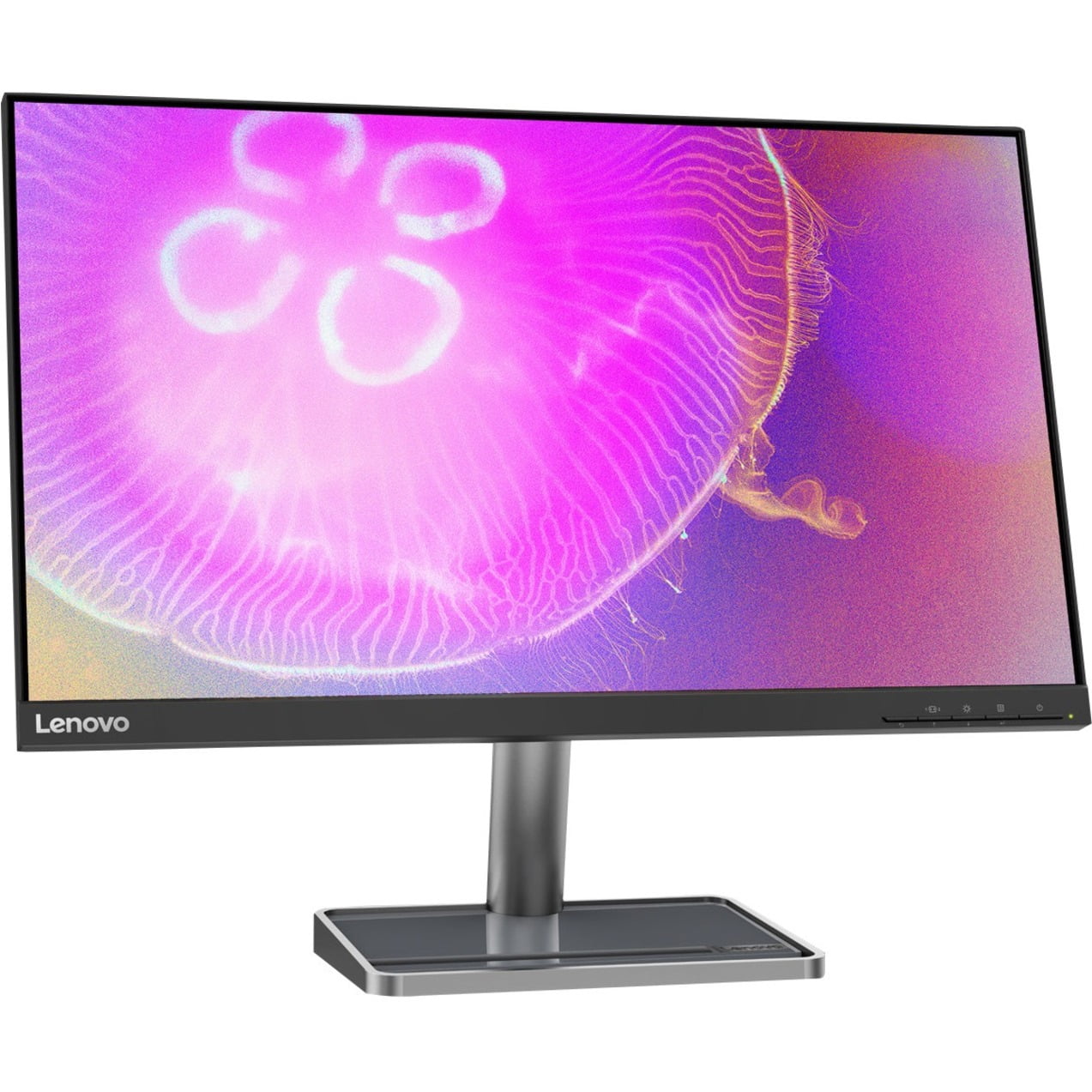 Lenovo L24q-35 (23.8型  2560x1440 IPS ) Lenovo Large Widescreen L24q-35 24