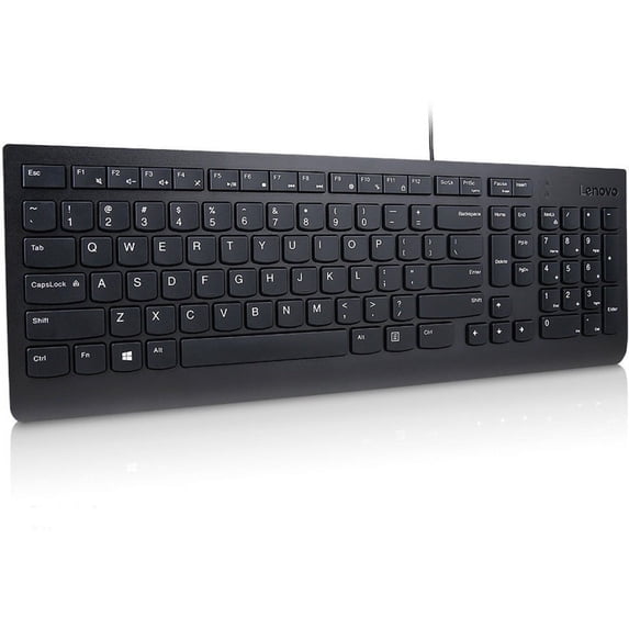 Lenovo Essential Wired Keyboard (Black), French Canadian 058