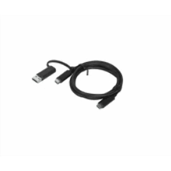 Lenovo - Cable - Type-c (m) To Type-c (m) - 20 V - 5 A - 3.3 Ft - Black - For Ideapad Slim 7 Pro 16, Thinkcentre M70a Gen 2, Thinkcentre Neo 50, V50t Gen 2-13