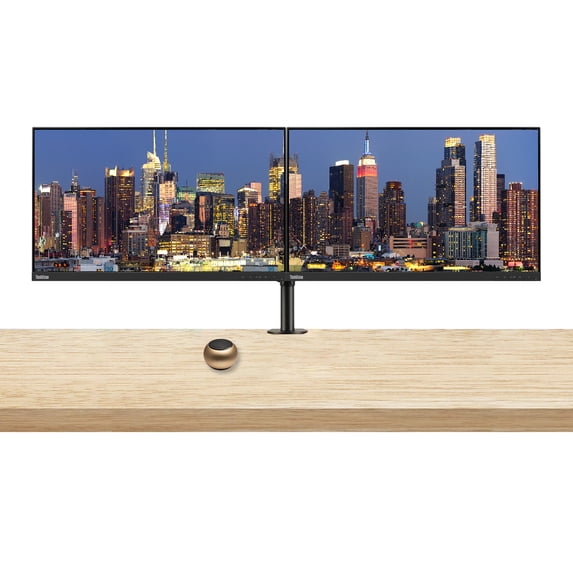 Lenovo ThinkVision S24e-20 23.8" Full HD 1920 x 1080 WLED LCD Monitor 2-Pack Bundle with Mini Speaker, 250 Nit, FreeSync, HDMI-VGA, Raven Black, & Adjustable Desk Mount Monitor Stand