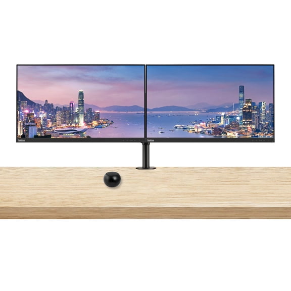 Lenovo ThinkVision S24e-20 23.8" Full HD 1920 x 1080 WLED LCD Monitor 2-Pack Bundle with Mini Speaker, 250 Nit, FreeSync, HDMI-VGA, Raven Black, & Adjustable Desk Mount Monitor Stand