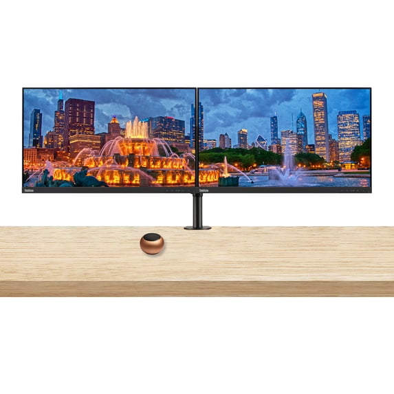 Lenovo ThinkVision S24e-20 23.8" Full HD 1920 x 1080 WLED LCD Monitor 2-Pack Bundle with Mini Speaker, 250 Nit, FreeSync, HDMI-VGA, Raven Black, & Adjustable Desk Mount Monitor Stand