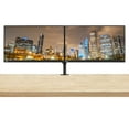 thumbnail image 1 of Lenovo ThinkVision S24e-20 23.8" Full HD WLED LCD Monitor 2-Pack Bundle with 250 Nit, FreeSync, 1920 x 1080, Vertical Alignment, HDMI-VGA, Raven Black, Fully Adjustable Desk Mount Monitor Stand, 1 of 7