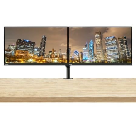 Lenovo ThinkVision S24e-20 23.8" Full HD WLED LCD Monitor 2-Pack Bundle with 250 Nit, FreeSync, 1920 x 1080, Vertical Alignment, HDMI-VGA, Raven Black, Fully Adjustable Desk Mount Monitor Stand