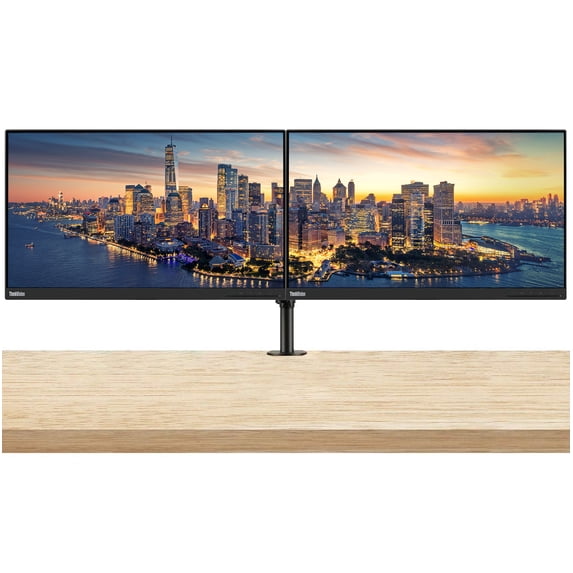 Lenovo ThinkVision T24i 23.8in 1920 x 1080 FHD IPS WLED-Backlit LCD 2-Pack Raven Black Monitor Bundle with HDMI, VGA, DisplayPort, USB Hub, Fully Adjustable Desk Mount Monitor Stand