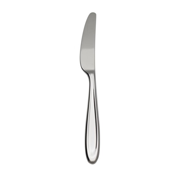Lenox Cantera Dinner Knife
