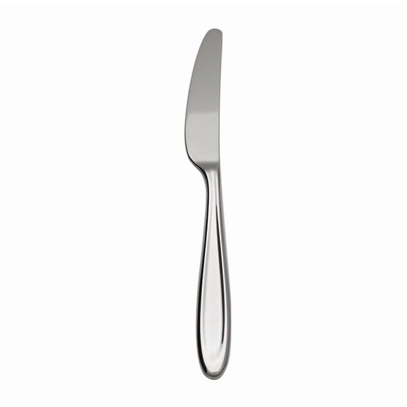 Lenox Cantera Dinner Knives, Set of 4