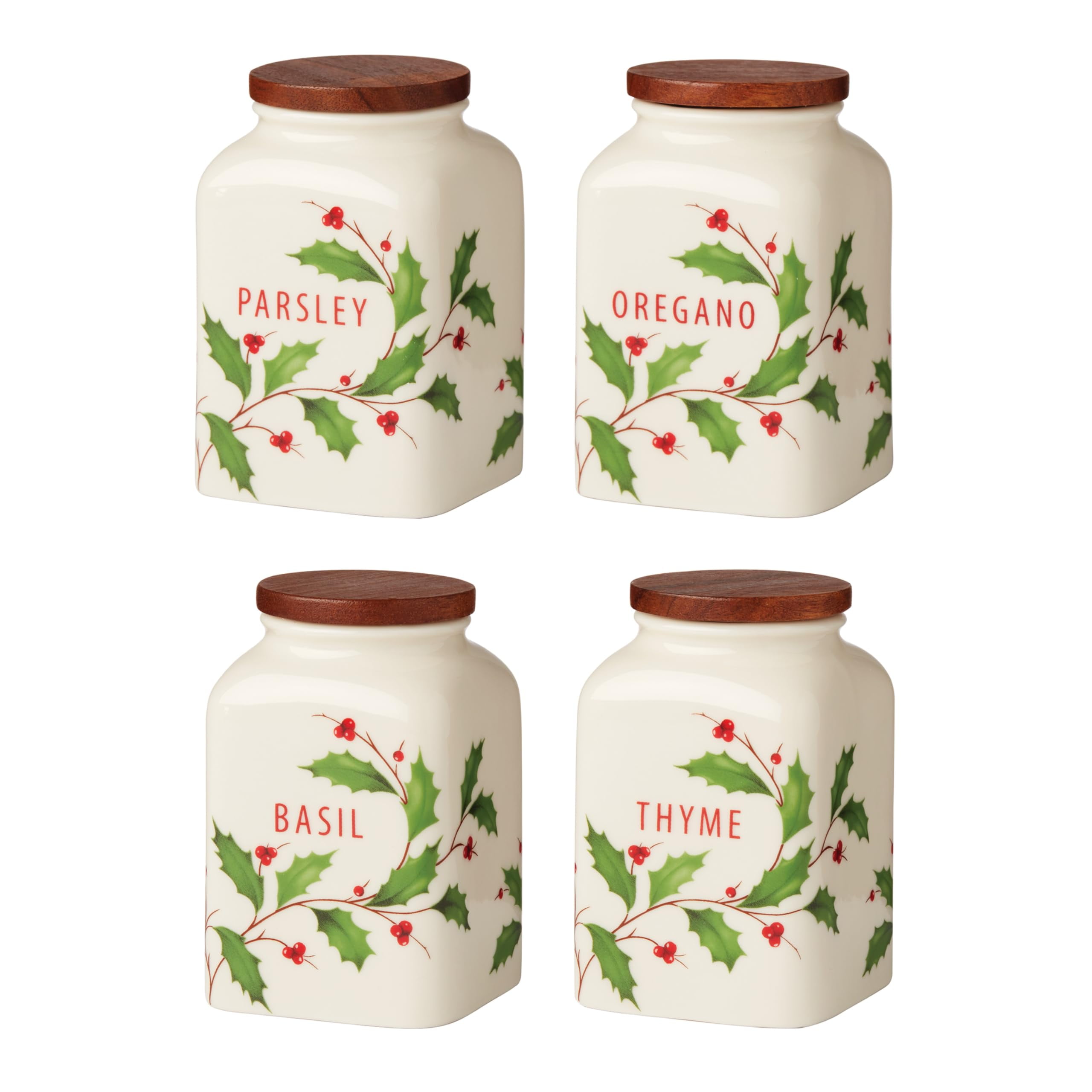 Ceramic Spice Jar Set of 4