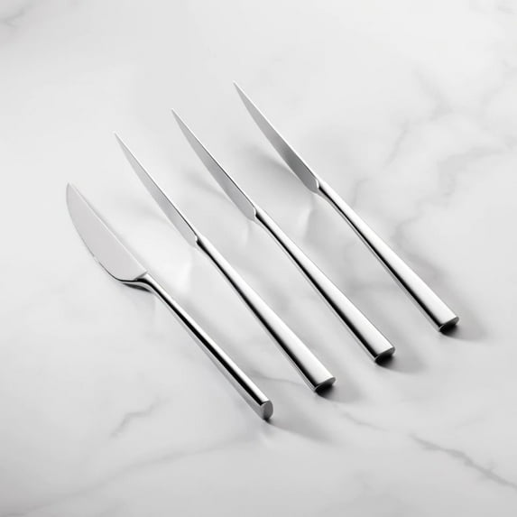 Lenox Kate Spade Malmo 4-Piece Steak Knife Set, Metallic