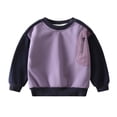 thumbnail image 1 of Lenpel Girls Boys' Sweatshirts Cotton Long Sleeve Crew Neck Color Block Pullover Tops Toddler Casual Sweatshirts(Purple,2-3 Years), 1 of 7