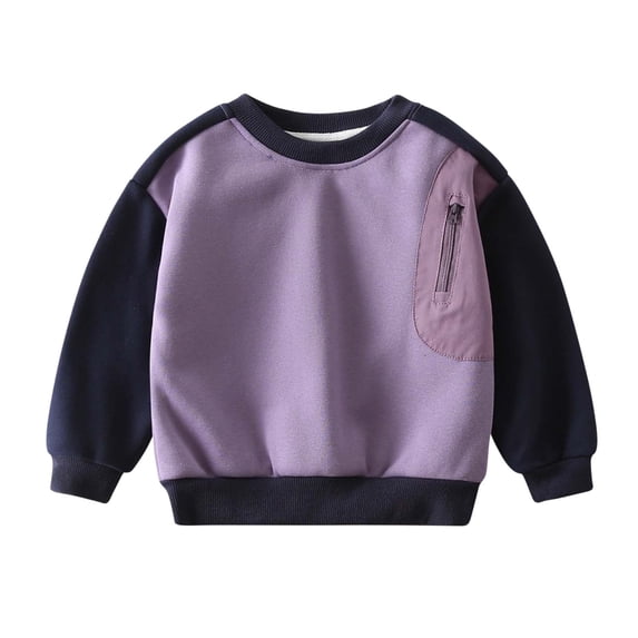 Lenpel Girls Boys' Sweatshirts Cotton Long Sleeve Crew Neck Color Block Pullover Tops Toddler Casual Sweatshirts(Purple,2-3 Years)