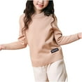 thumbnail image 1 of Lenpel Toddler Boys Girls' Sweaters Long Sleeve Crew Neck Solid Color Soft Warm Pullover Tops Fall Winter Clothes, 1 of 4