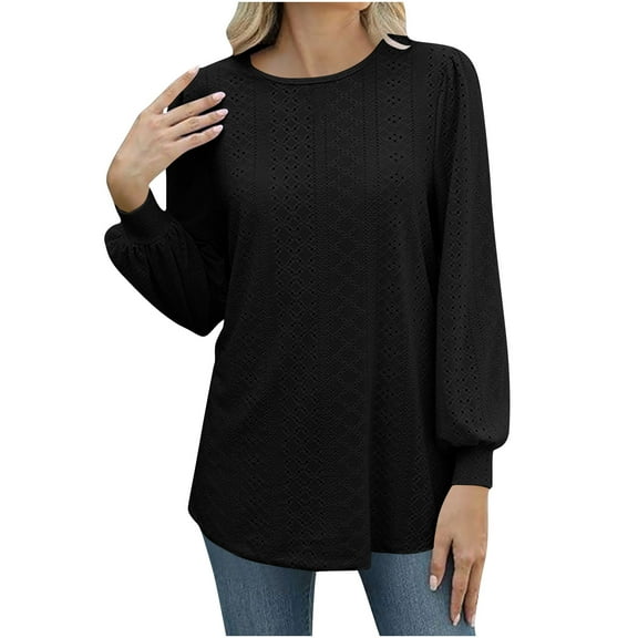 Lenpel Women's Embroidered Eyelet Tops Dressy Lantern Long Sleeve Crew Neck Pleated Loose T Shirts Business Casual Blouses(Black,XX-Large)