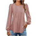 thumbnail image 1 of Lenpel Women's Long Sleeve Shirts Casual Crew Neck Puff Long Sleeve Solid Eyelet Tunic Tops Trendy Fall Blouses, 1 of 7