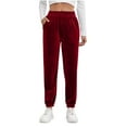 thumbnail image 1 of Lenpel Women's Velour Joggers Soft Casual Elastic High Waisted Tapered Velvet Sweatpants Comfy Lounge Pants with Pockets(Wine,X-Large), 1 of 7