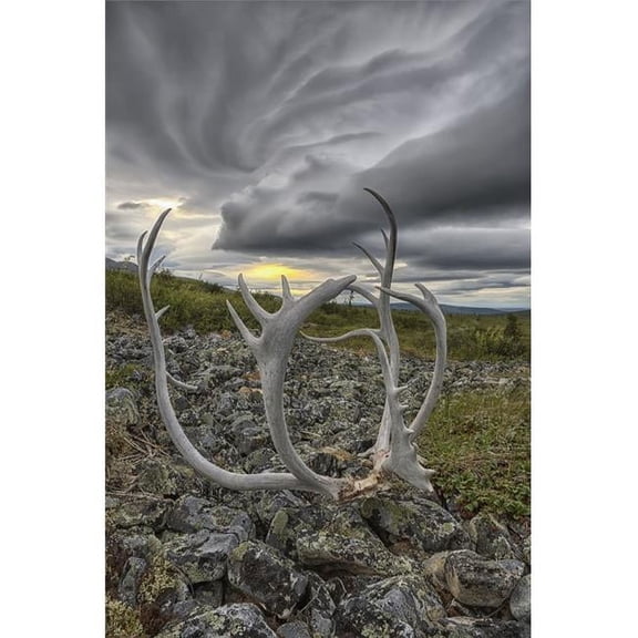 Lenticular Clouds Form Overtop of Crow Mountain While A Set of Caribou Antlers Lie on The Rocks - Old Crow Yukon Canada 2 Poster Print - 24 x 36 in. - Large