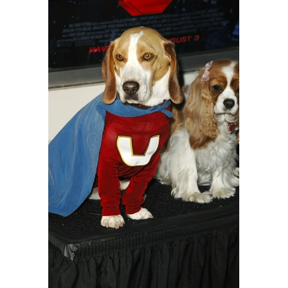 Leo At Arrivals For Underdog Premiere Regal E-Walk Stadium 13 Cinema Los Angeles Ca July 30 2007. Photo By Ray