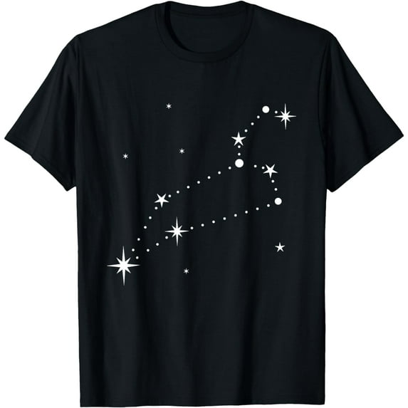 Leo Constellation Zodiac T-Shirt