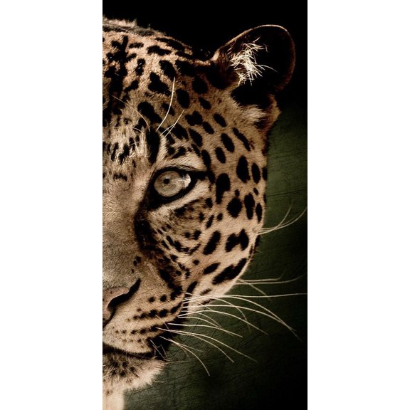 Leo Panel by Kimberly Allen (18 x 36)