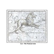 Leo - The Nemean Lion-Fine Art Canvas Print 20 x 30
