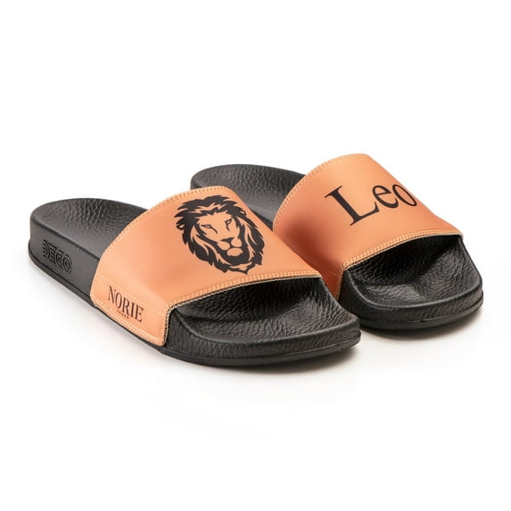 Leo Zodiac Slides