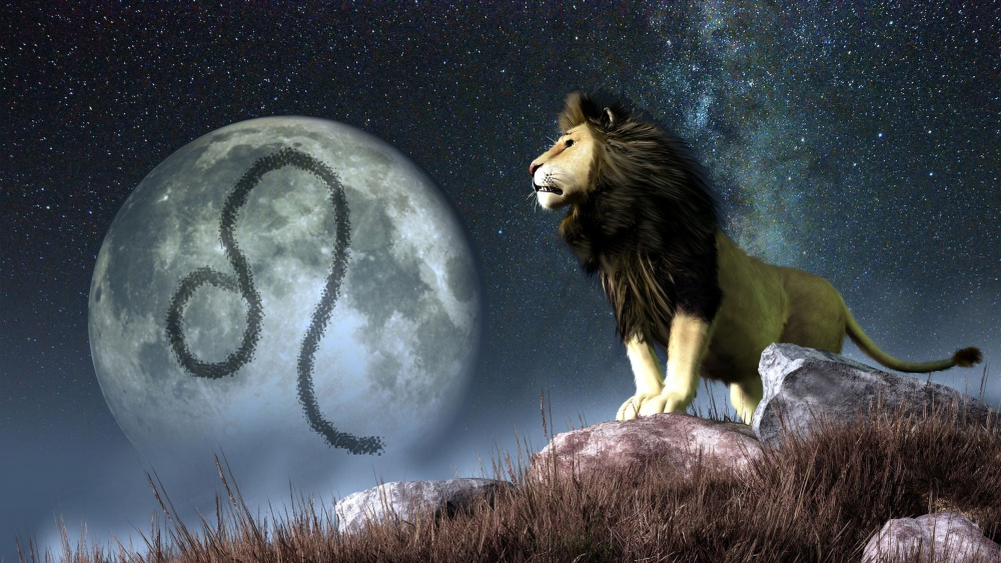 Leo is the fifth astrological sign of the Zodiac Canvas Art - Daniel EskridgeStocktrek Images (38 x 21)