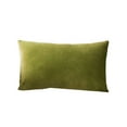 thumbnail image 1 of Leodye 1 Pack Rectangle Velvet Throw Pillow Cover Colour Waist Pillow Cushion, Soft Cozy Solid Decorative Luxury Cushion Cases for Couch Sofa Bed -11.81×19.68inch, 1 of 6