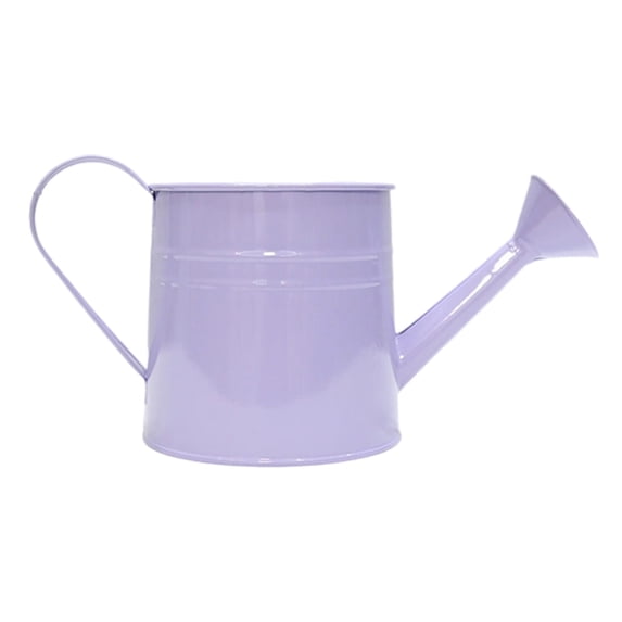 Leodye 1PCS 1.5L Vintage Iron Watering Can - Floral Decorative, for Indoor/Outdoor Garden Plants -10.63x4.33x4.53 in