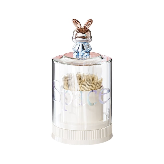 Leodye 1PCS Cute Swab Cosmetic Storage Box Compact Multi-compartment Bathroom Vanity Qtip Lipstick Jewelry Organizer Case -4.92*2.59*2.48*2.16in