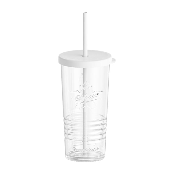 Leodye 1PCS Large Glass Sippy Cup - with Reusable Plastic Lid and Straw -9.4x3.7x3.7 in