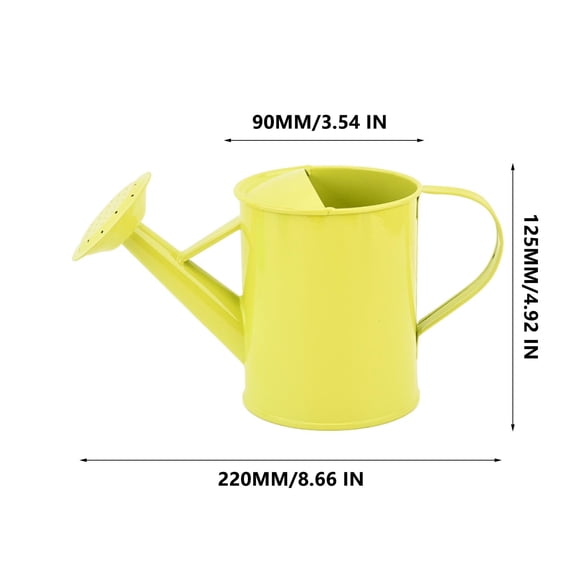 Leodye 1PCS Metal Watering Can, Iron Art, Outdoor Plants Home office Small Portable Indoor Watering Equipment