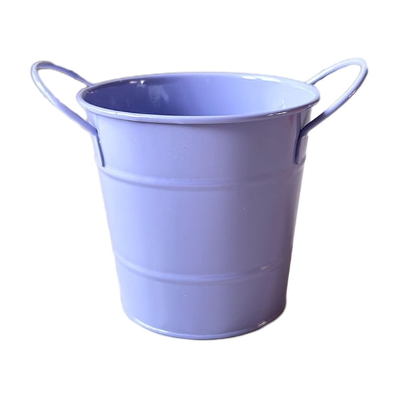 Leodye 1PCS Mini Iron Bucket Flower Pot with Double Ears Desktop Pen Holder Storage Box Cute Study Desk Decor for Home and office Use -5.9 * 4.5 * 4.3 in