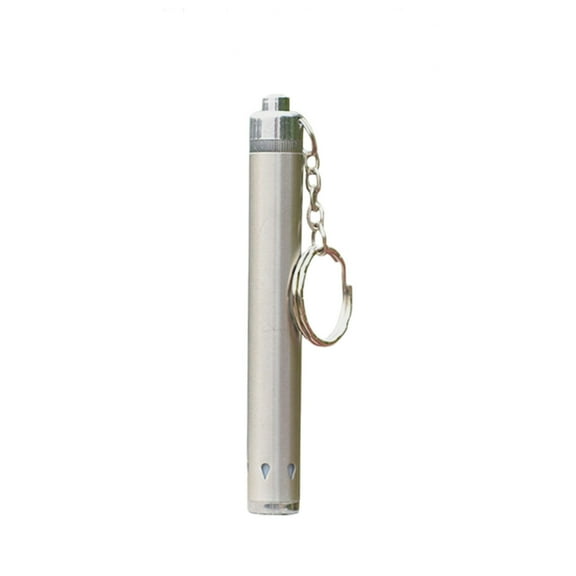 Leodye 1PCS Mini Pen-style LED Flashlight - High-brightness Stainless Steel Portable Pocket Torch for Camping/Travel -3.8*0.5IN