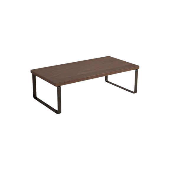 Leodye 1PCS Monitor Riser Stand Desktop Computer Holder office Desk Storage Shelf Raised Bracket for Screen and Accessories -1 1.81x7.87x3.15in