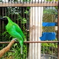 thumbnail image 1 of Leodye 1PCS Plastic Bird Water Feeder and Drinker Set Automatic Water Dispenser for Parrots and Small Bird Cage -4.3×5.8×2.5in, 1 of 7