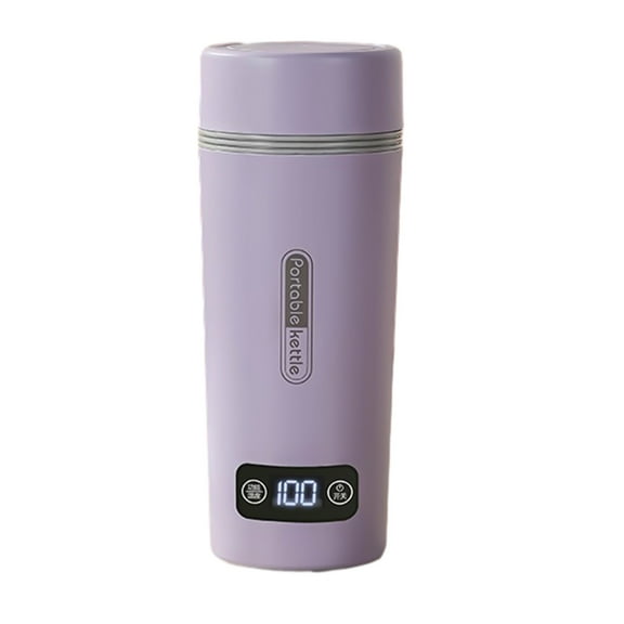 Leodye 1PCS Portable Travel Electric Kettle 4 Temp Control 304 Stainless Steel Home/Travel Mini Tea Coffee Water Boiler -3.28x2.55x8.18in