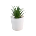 thumbnail image 1 of Leodye 1PCS Small Artificial Plastic Potted Plant with White Pot Mini Faux Greenery Arrangement for Kitchen Table Bar office Indoor Decor -3.54x2.36x2.36in, 1 of 6