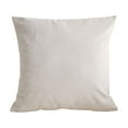 thumbnail image 1 of Leodye 1PCS Solid Color Modern Sofa Cushion Set - Large Backrest/office Lumbar Pillow, Living Room Decor -16.71x16.71lb, 1 of 7