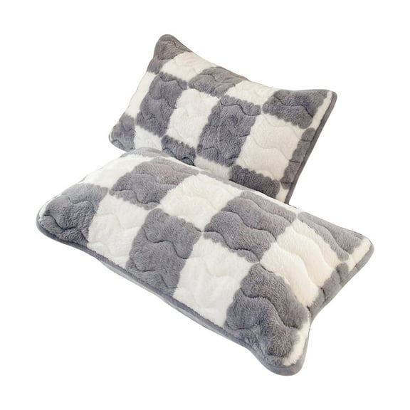 Leodye 2PCS Milk Velvet Pillowcase Winter Thickened Warm Pillowcase, Super Soft Fleece Pillow Case Cover for Bedroom, Sofa, Couch,Luxury Cozy Fuzzy Velvet -29.1x18.9in