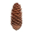 thumbnail image 1 of Leodye Colored Pine Cone Christmas Ornaments - Tree Hangers, Wreath Props & Holiday Shooting Decor, 1 of 6