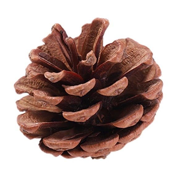 Leodye Colored Pine Cone Christmas Ornaments - Tree Hangers, Wreath Props & Holiday Shooting Decor